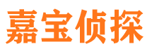 凤山寻人公司